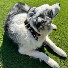 Load image into Gallery viewer, Smathers &amp; Branson Swinging Pete Dog Collar
